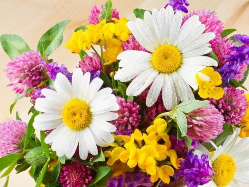 انواع الورود