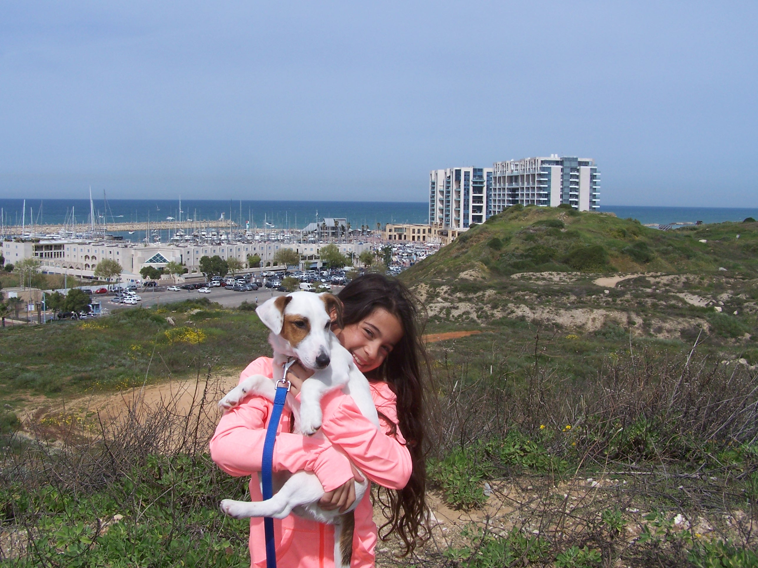 My Dog by emmaharari - Ourboox.com