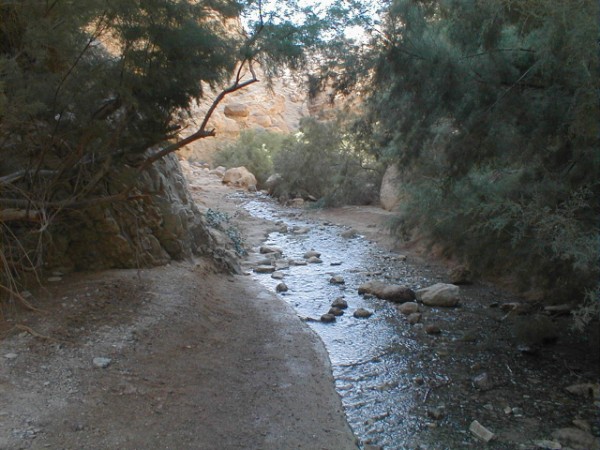 טיול שנתי לאזור מדבר יהודה והרי אילת by dalit kashkash - Ourboox.com