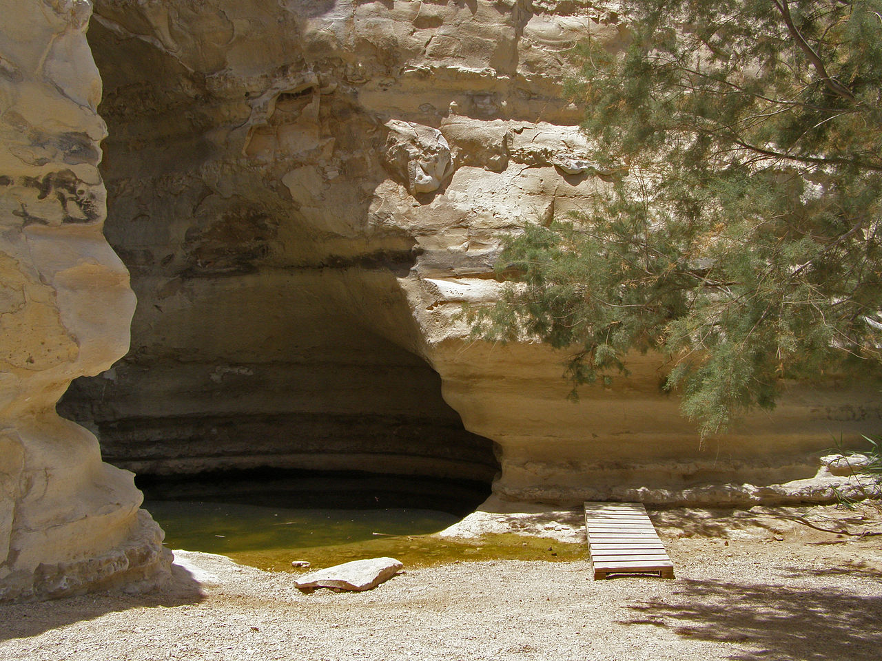 טיול שנתי לאזור מדבר יהודה והרי אילת by dalit kashkash - Ourboox.com