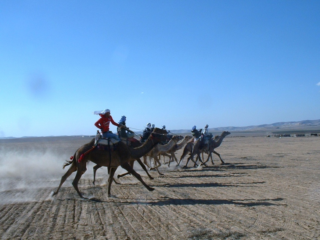 עבודה להגשה – מדריך לתייר by joey - Illustrated by מגישות: מאי מנשרוף וג
