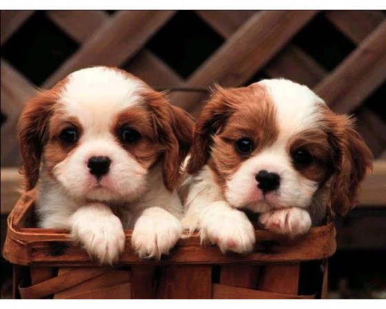 EMOTION GLASSES by daniel - Illustrated by Daniel - Ourboox.com