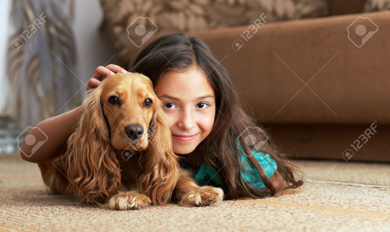 The lost dog by Yuval Or - Ourboox.com