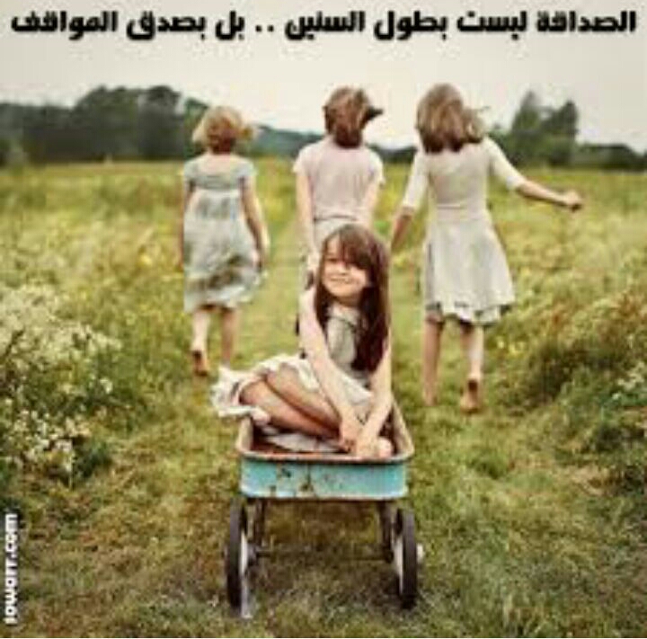 الصداقه by adan.maya - Ourboox.com