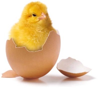 من أنا ؟ by jihantatour - Ourboox.com