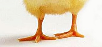 من أنا ؟ by jihantatour - Ourboox.com