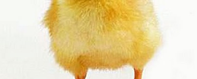 من أنا ؟ by jihantatour - Ourboox.com