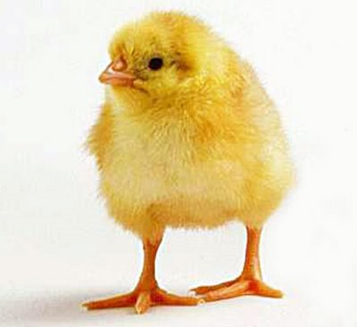 من أنا ؟ by jihantatour - Ourboox.com