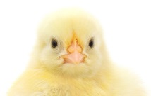 من أنا ؟ by jihantatour - Ourboox.com