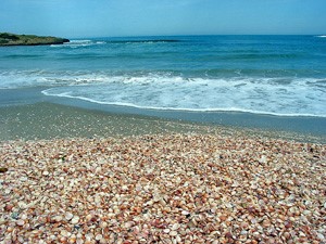 המלצות של כיתה ד’1 2017 by טלי כהן - Ourboox.com