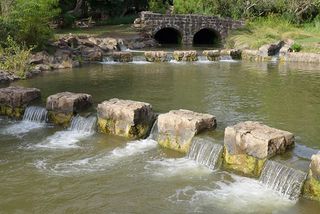 טיול בצפון by ben zohar - Illustrated by טיול בצפון  - Ourboox.com