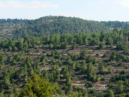טיול שנתי כיתה י”א by adva hakani - Illustrated by טיול שנתי י"א - Ourboox.com