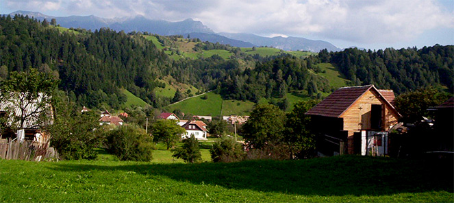 My Summer Holiday by Ori Agay - Ourboox.com