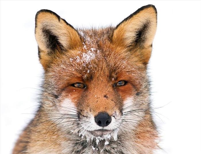 EMOTION GLASSES by daniel - Illustrated by Daniel - Ourboox.com