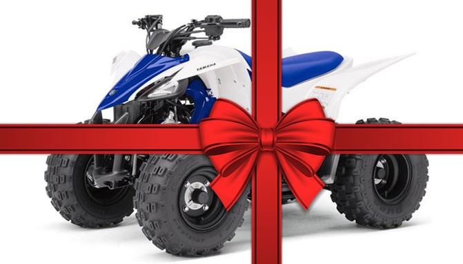 My ATV by Ron Shlag - Ourboox.com