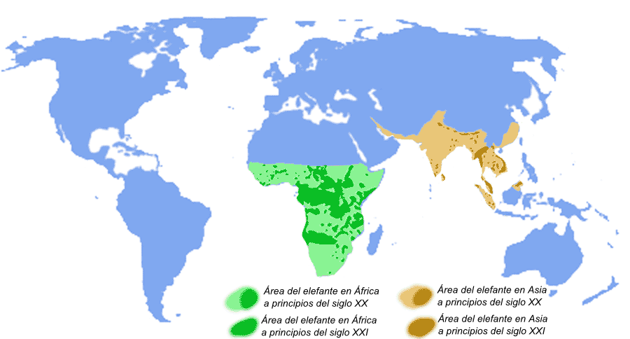 The Elephant Family by Elad and Roi - Ourboox.com