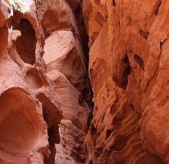 טיול לאילת by nofar cohen - Illustrated by נופר ושירן - Ourboox.com