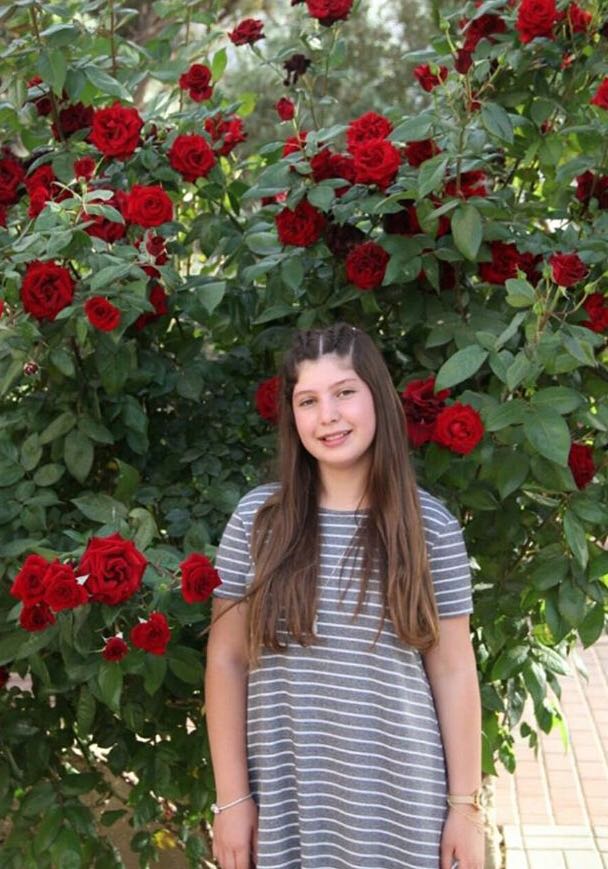 About Meππ by Amwaj Abdalla - Ourboox.com