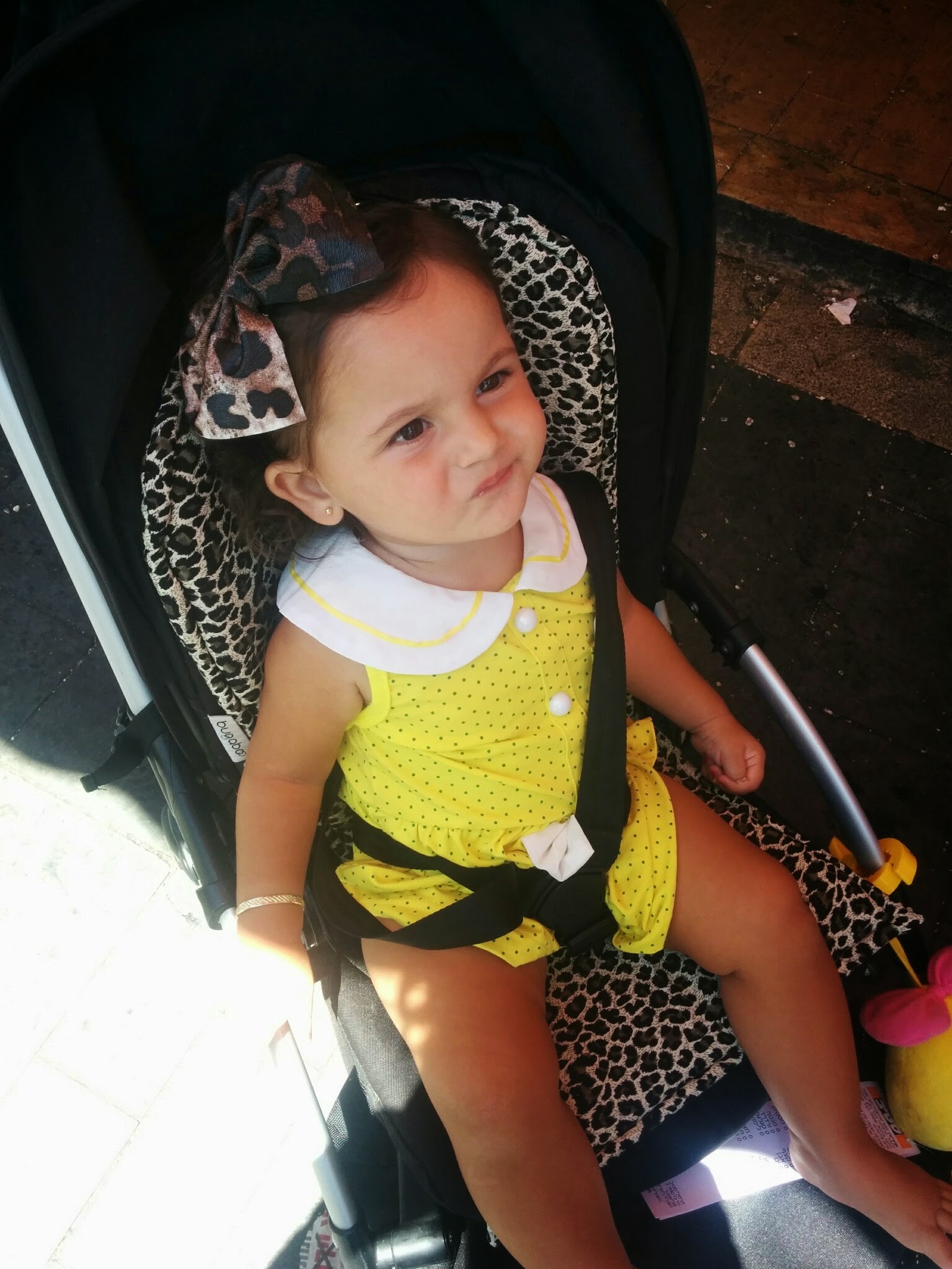 העגלות של שני by shany ben ishay - Ourboox.com