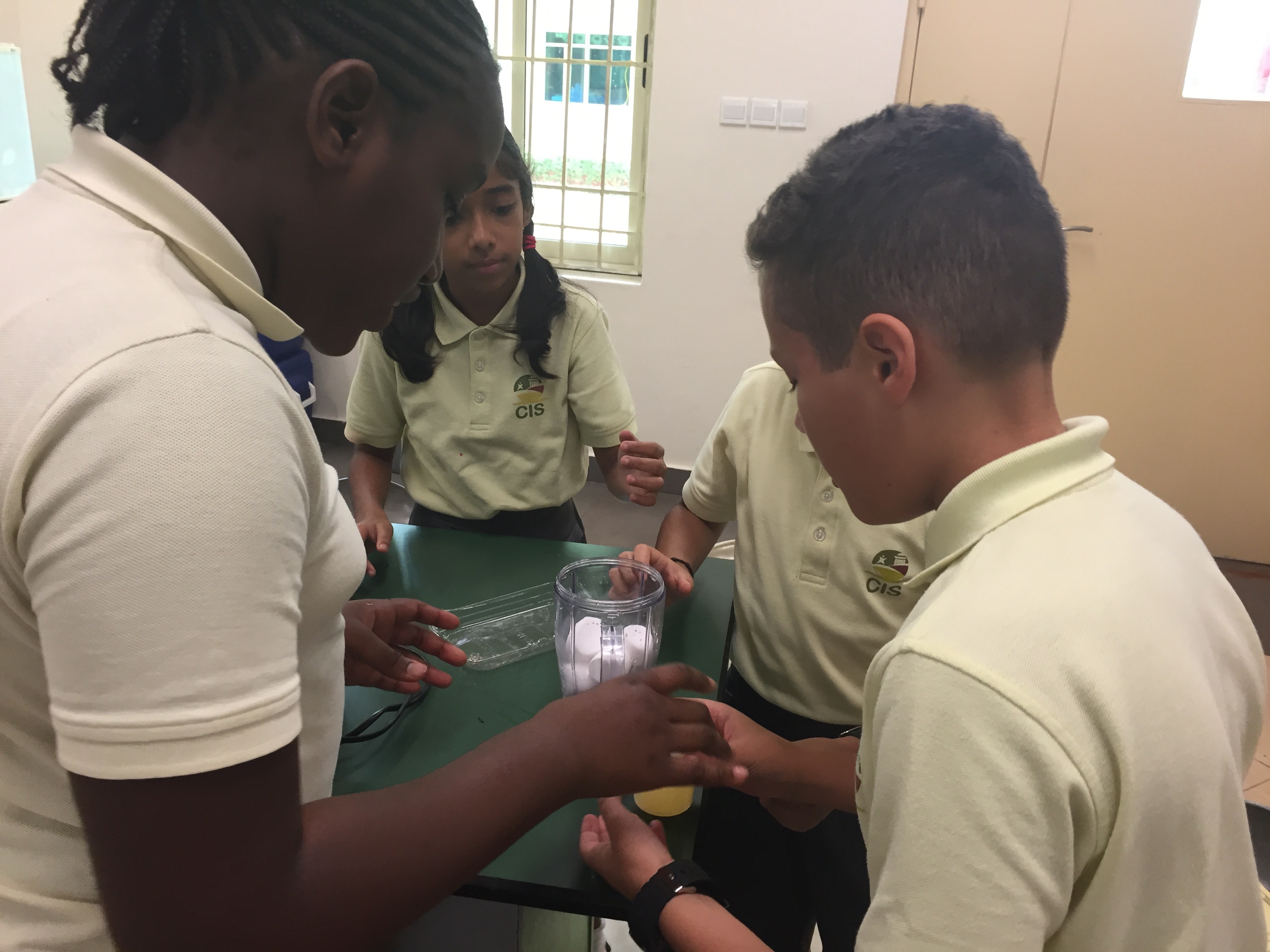 Vincenzo’s Year Six Expirience by Vincenzo - Ourboox.com