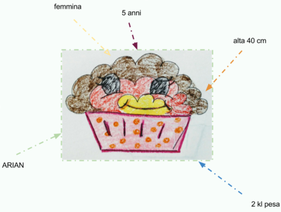 il mio mondo by meriem ameur - Ourboox.com
