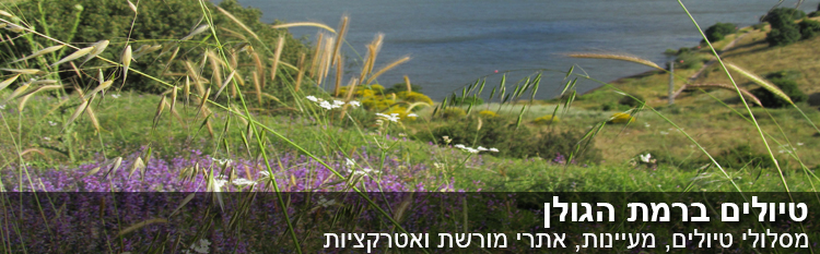 טיול בצפון by ben zohar - Illustrated by טיול בצפון  - Ourboox.com