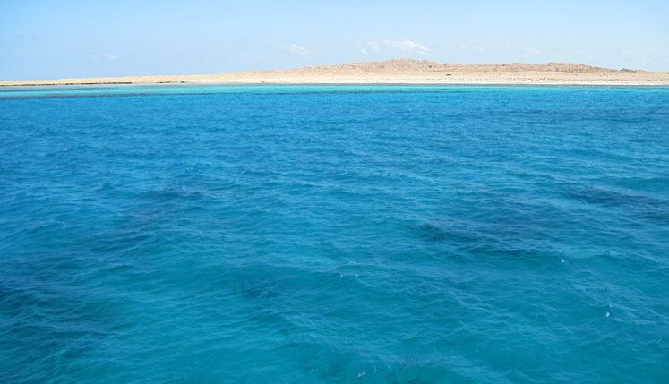 טיול שנתי לאזור מדבר יהודה והרי אילת by dalit kashkash - Ourboox.com