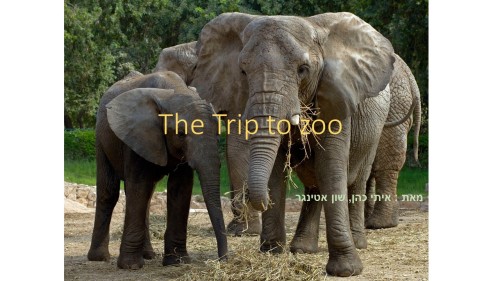 The Trip to zoo by Itay and Shon - Ourboox.com