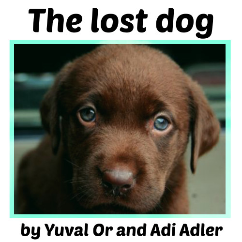 The lost dog by Yuval Or - Ourboox.com