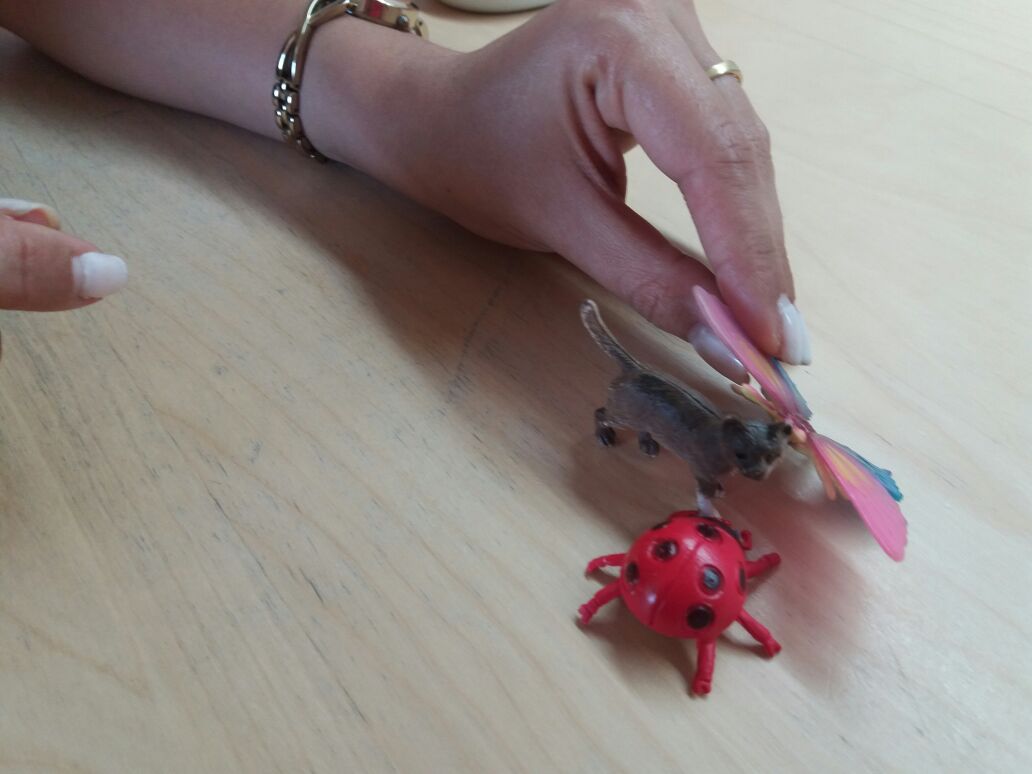 קלי הפרפרית, ארי החיפושית וזואי החתולה by yael tamir - Ourboox.com