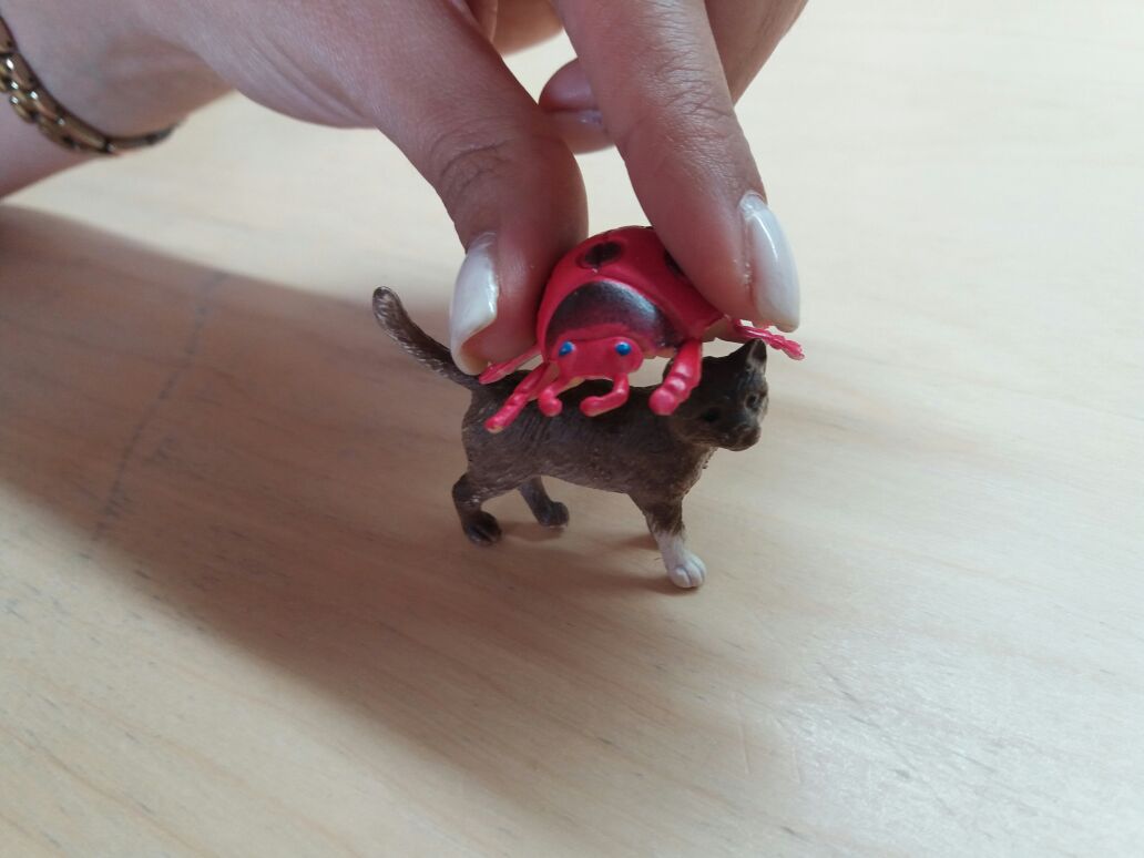 קלי הפרפרית, ארי החיפושית וזואי החתולה by yael tamir - Ourboox.com