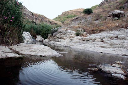 לחוות את הגולן by צוות המורים שכבת י"א - Ourboox.com