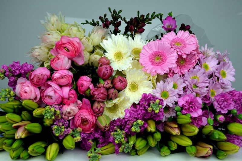 الازهار by sham - Ourboox.com