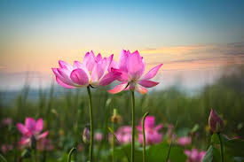 The four seasons by Sana and Ghadeer - Ourboox.com