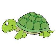 الولد والسلحفاه by tala trter - Ourboox.com