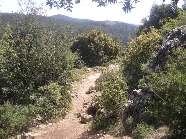 טיול שנתי לירושלים והרי יהודה by kesem - Illustrated by קסם אבסטדו ואורטל מלסה - Ourboox.com