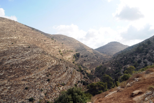 טיול שנתי לירושלים והרי יהודה by kesem - Illustrated by קסם אבסטדו ואורטל מלסה - Ourboox.com