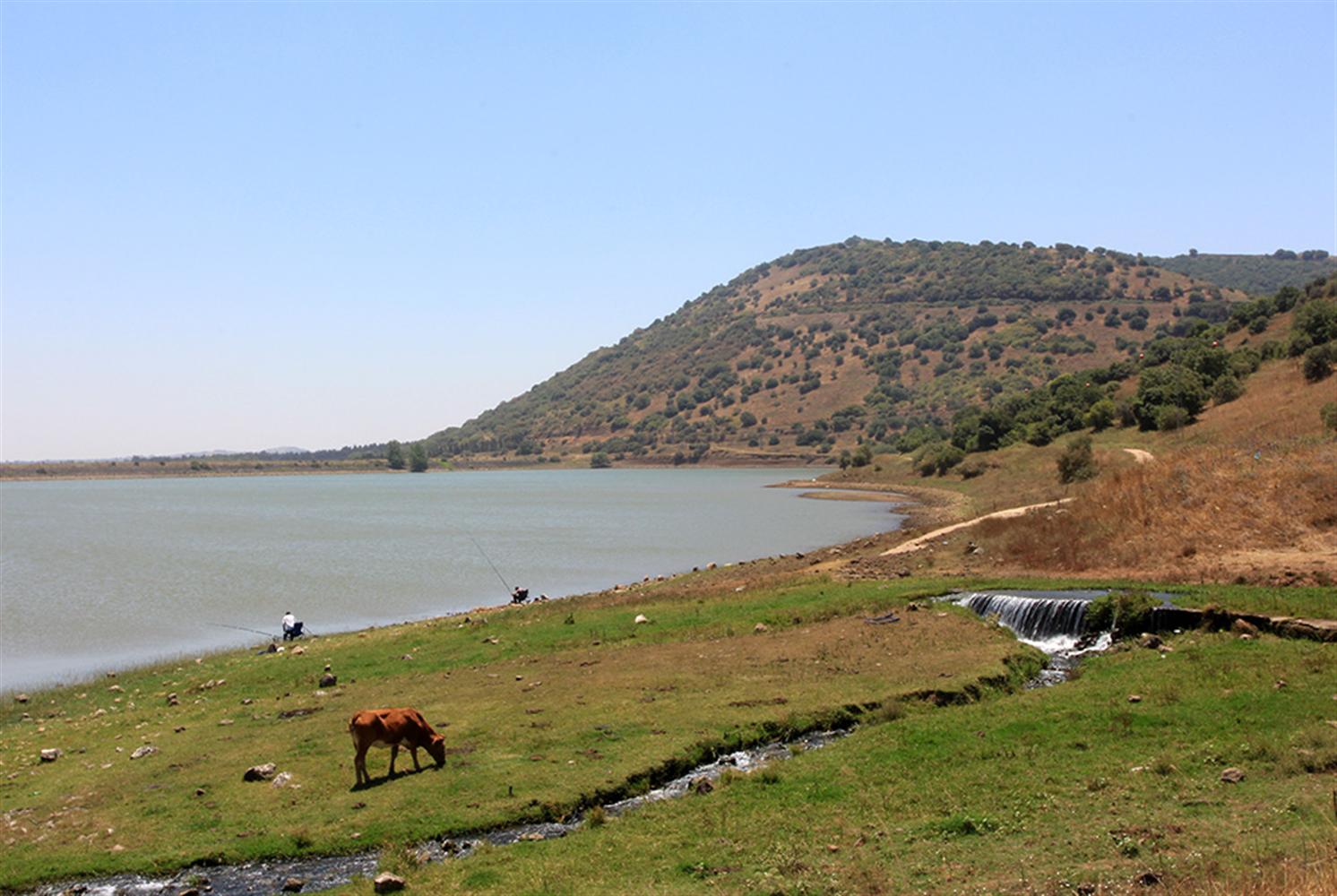 טיול שנתי שכבה י”א לרמת הגולן by eden ben shabat - Illustrated by מורי השכבה - Ourboox.com