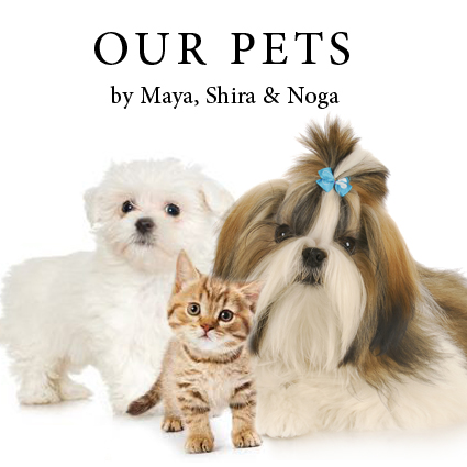 Our Pet by Noga Shira and Maya - Illustrated by Maya Shira and Noga - Ourboox.com