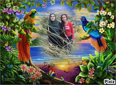 A DAY OUT by Rafik Majdoub - Illustrated by Roufa & Med - Ourboox.com