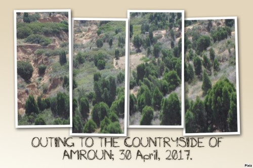 A DAY OUT by Rafik Majdoub - Illustrated by Roufa & Med - Ourboox.com