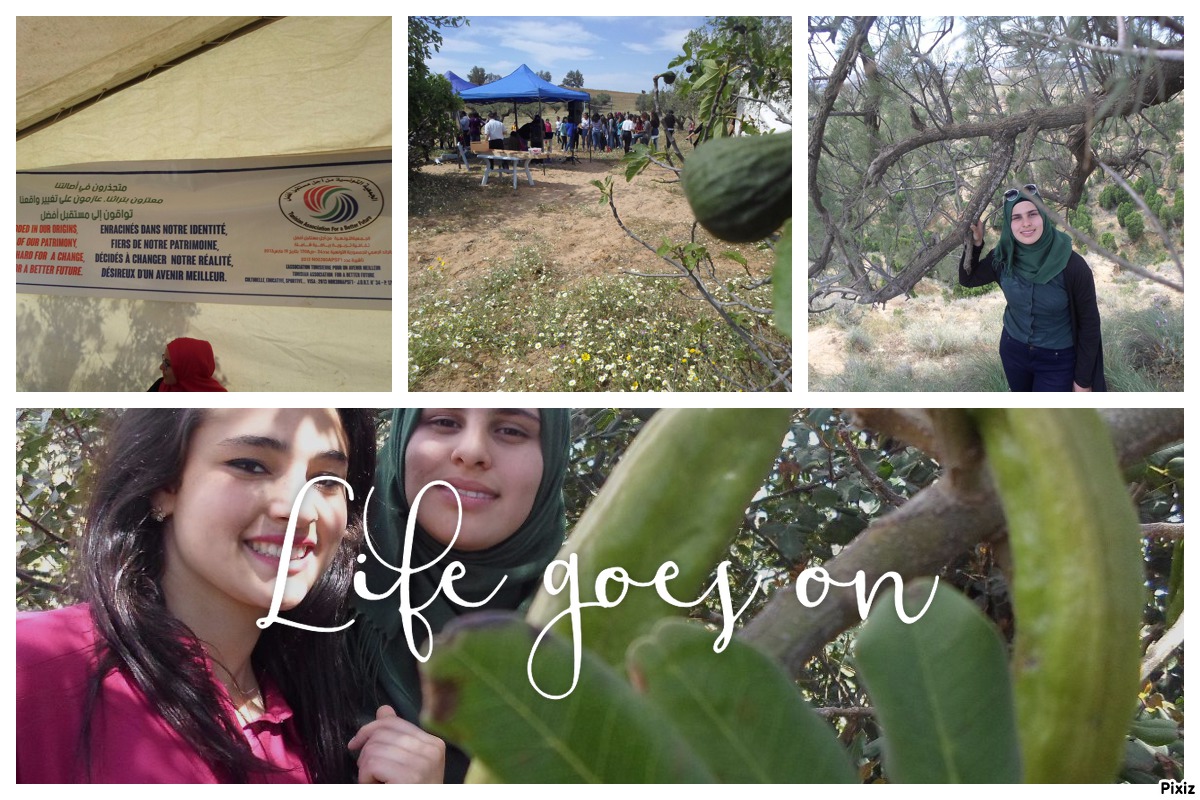 A DAY OUT by Rafik Majdoub - Illustrated by Roufa & Med - Ourboox.com