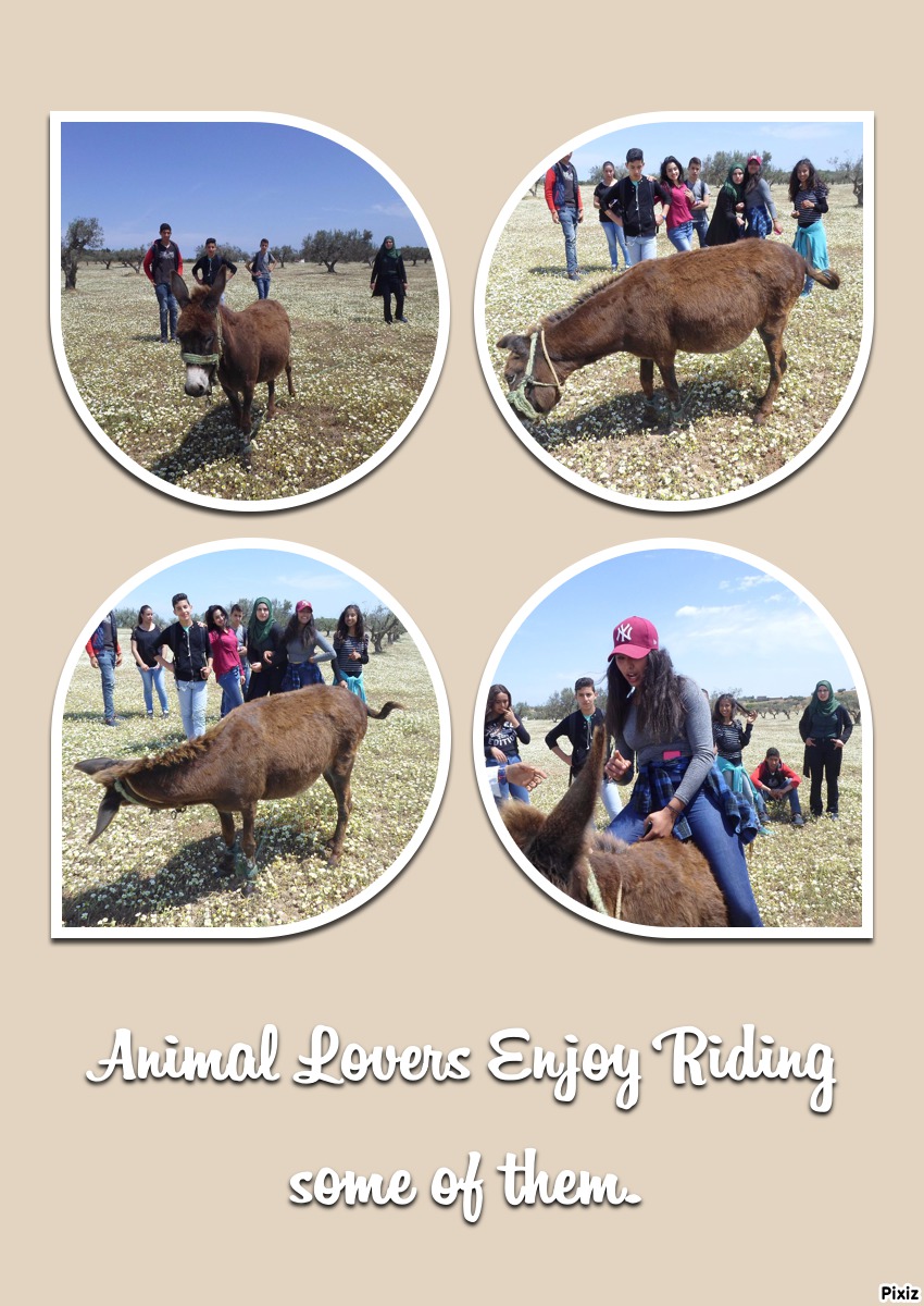 A DAY OUT by Rafik Majdoub - Illustrated by Roufa & Med - Ourboox.com