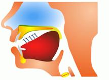 (الإبدال في صيغة (افْتَعَلَ by Hind Hawashleh - Ourboox.com