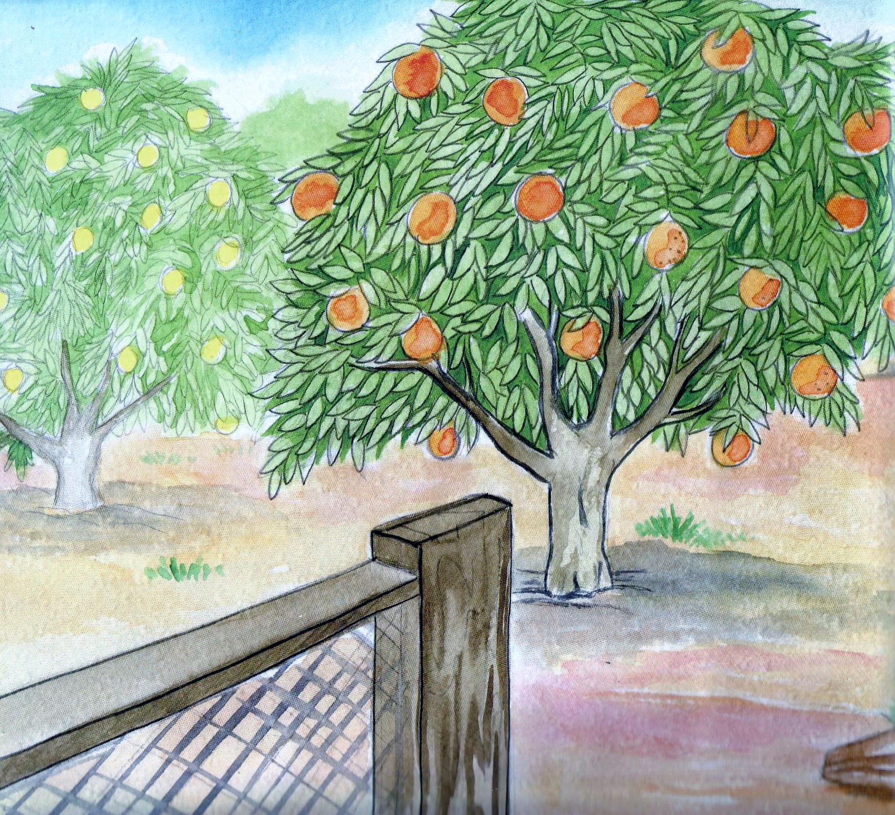 القطة تمارا في البيارة by omaima asadi - Ourboox.com