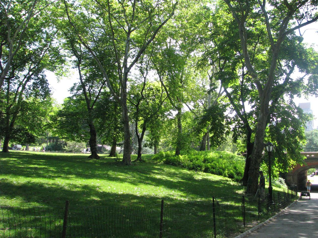 צילומי טבע by shaked rika - Ourboox.com