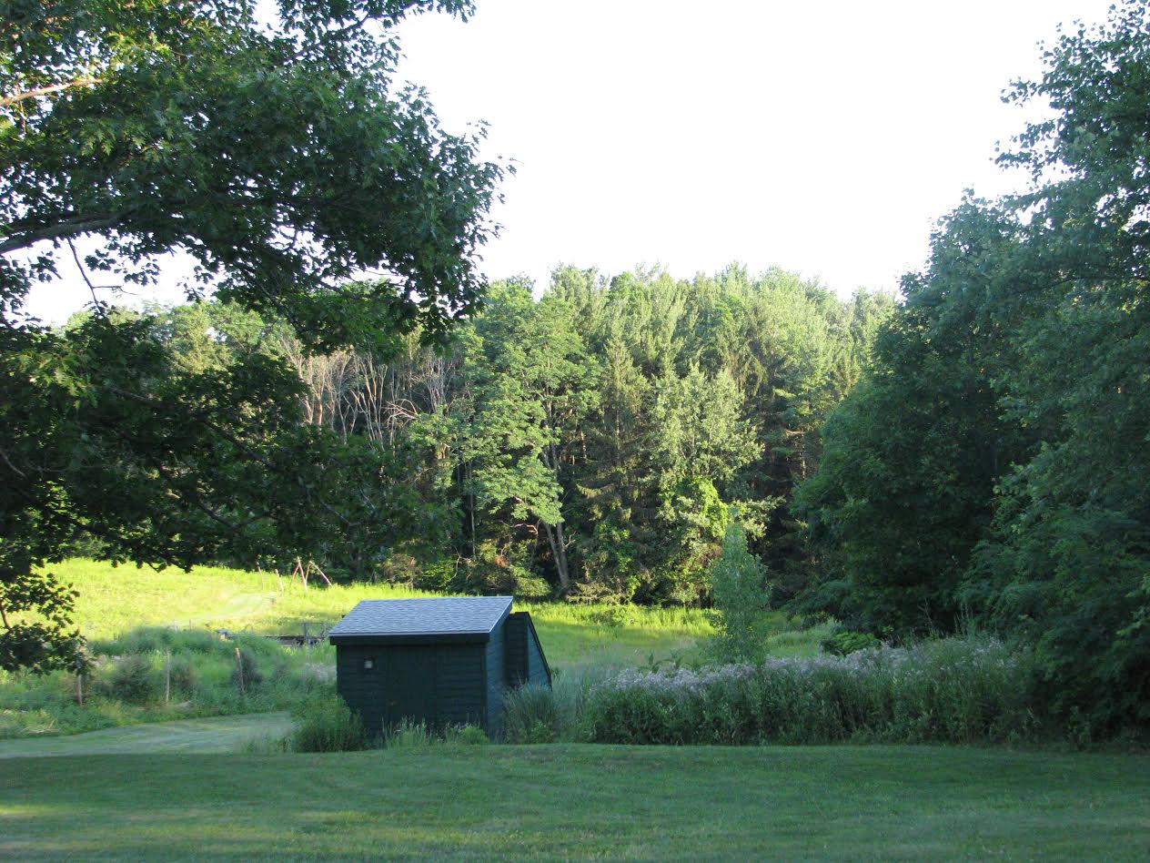 צילומי טבע by shaked rika - Ourboox.com