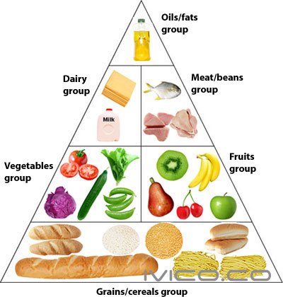 التغذية السليمة by alaa zbarqa - Ourboox.com