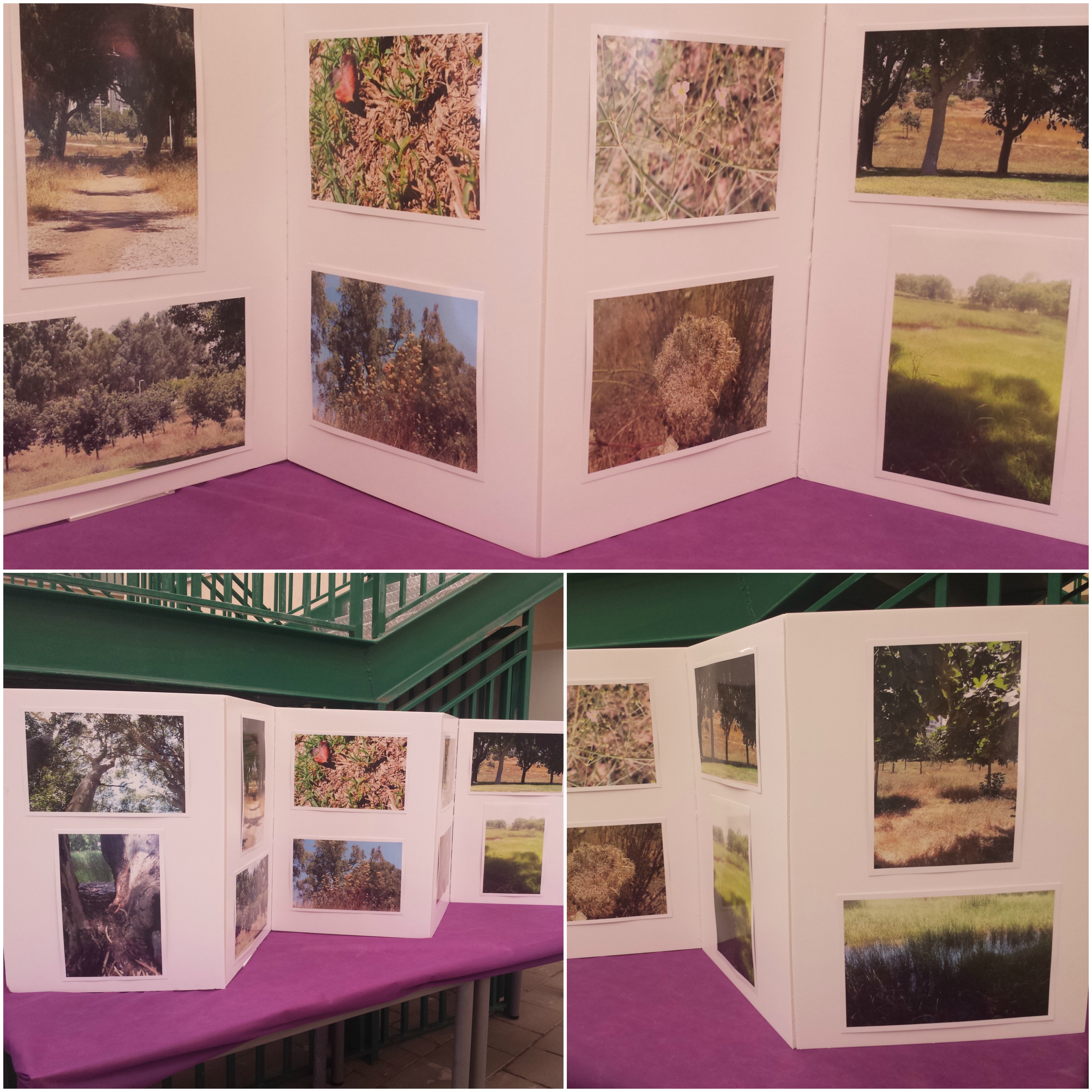 אמנות 2016-17, ביה”ס אהרון דוידי by netayona - Illustrated by נטע יונה - Ourboox.com