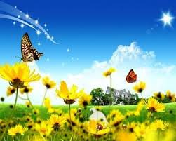 ظواهر فصل الربيع by esraa  - Illustrated by اسراء ابو عرار  - Ourboox.com